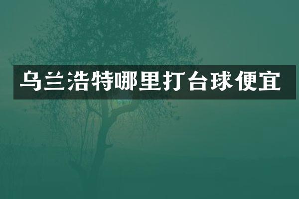 乌兰浩特哪里打台球便宜