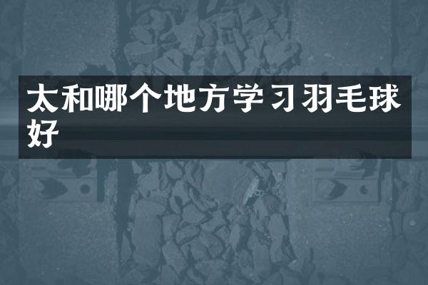 太和哪个地方学习羽毛球好