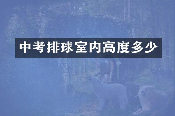 中考排球室内高度多少
