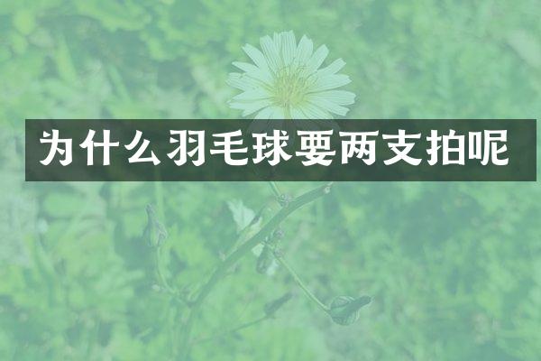 为什么羽毛球要两支拍呢