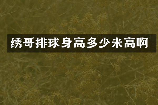绣哥排球身高多少米高啊