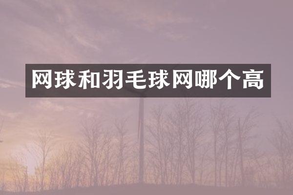 网球和羽毛球网哪个高