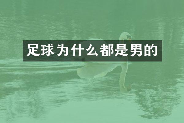 足球为什么都是男的