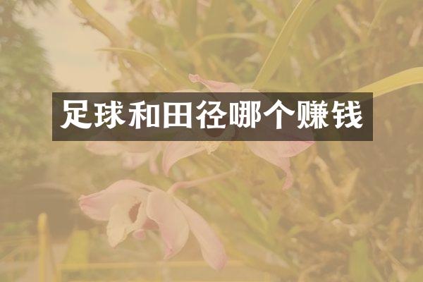 足球和田径哪个赚钱