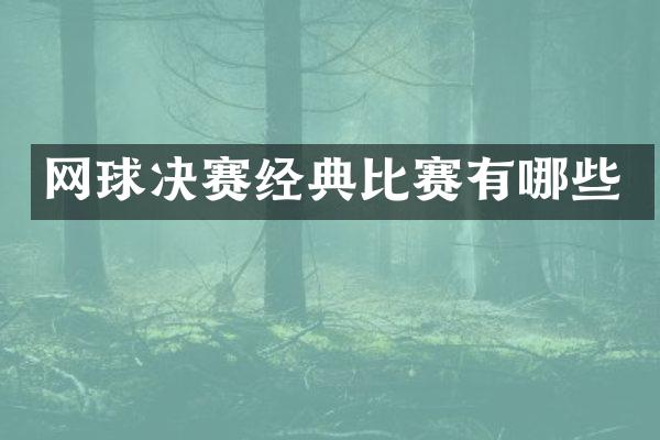 网球决赛经典比赛有哪些