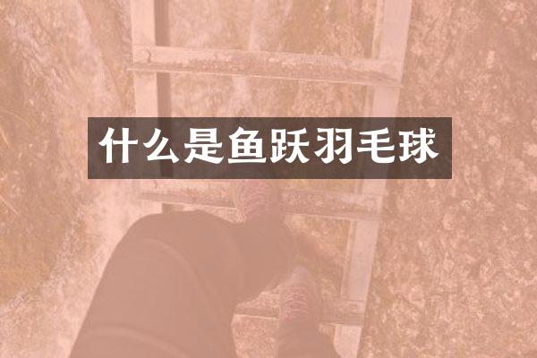 什么是鱼跃羽毛球