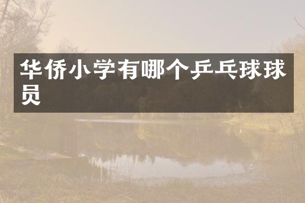 华侨小学有哪个乒乓球球员
