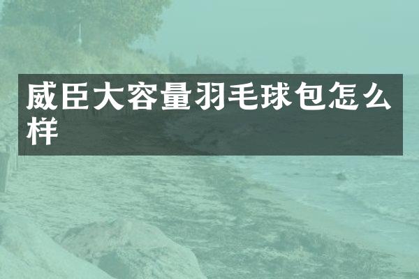 威臣大容量羽毛球包怎么样