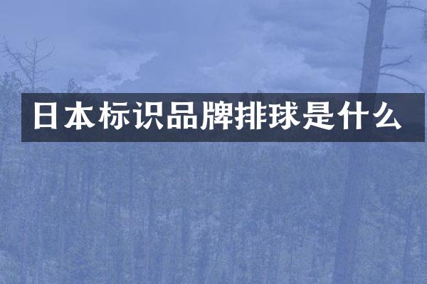日本标识品牌排球是什么