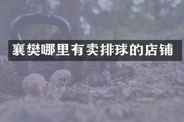 襄樊哪里有卖排球的店铺