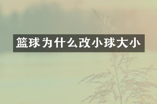 篮球为什么改小球大小