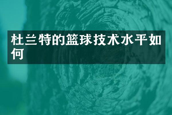 杜兰特的篮球技术水平如何