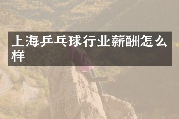 上海乒乓球行业薪酬怎么样