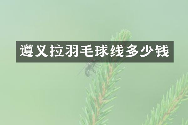 遵义拉羽毛球线多少钱