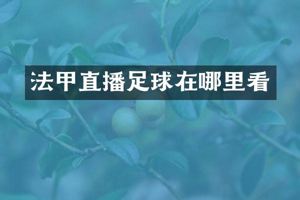 法甲直播足球在哪里看