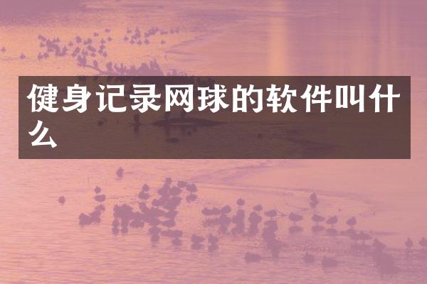 健身记录网球的软件叫什么