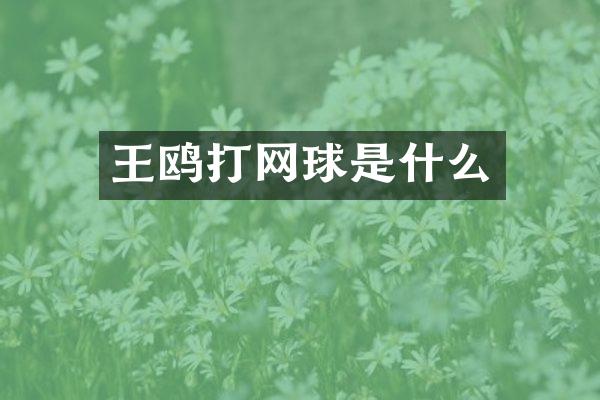 王鸥打网球是什么
