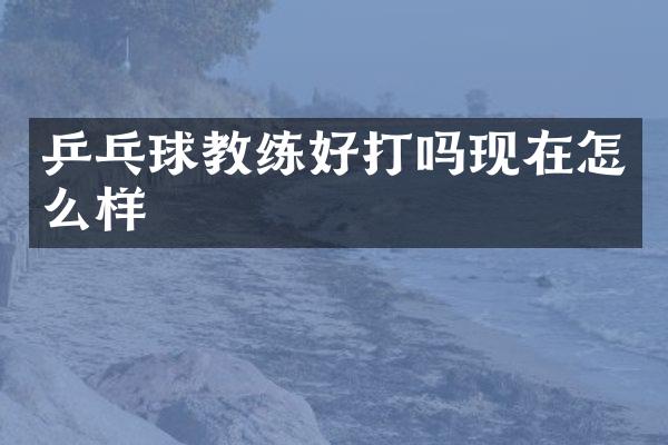 乒乓球教练好打吗现在怎么样
