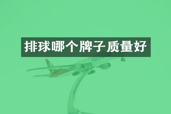 排球哪个牌子质量好