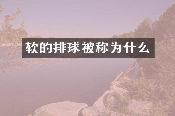 软的排球被称为什么