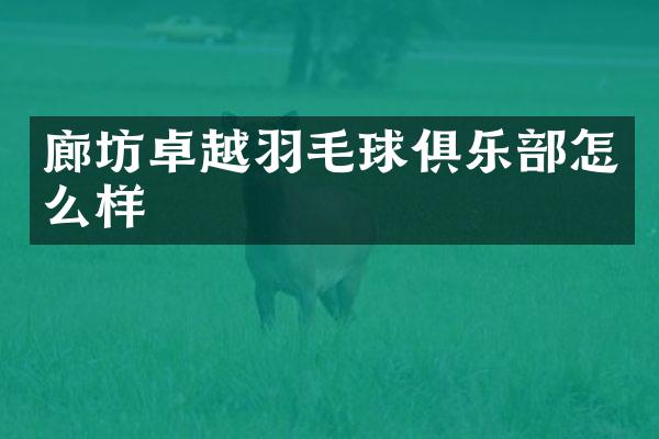 廊坊卓越羽毛球俱乐部怎么样
