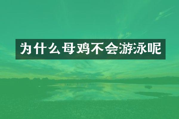 为什么母鸡不会游泳呢