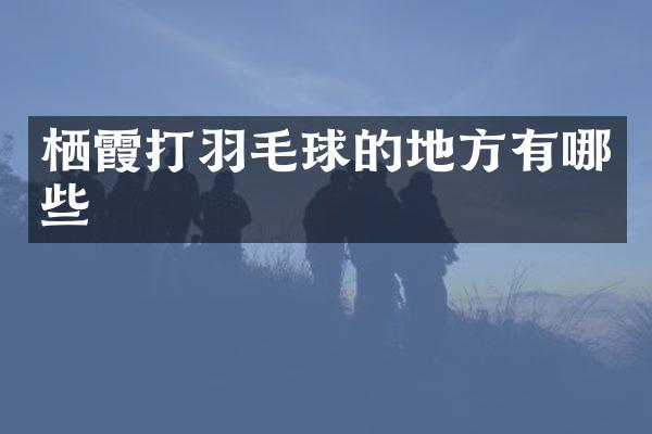 栖霞打羽毛球的地方有哪些