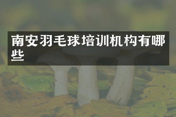 南安羽毛球培训机构有哪些