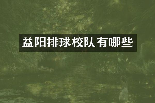 益阳排球校队有哪些