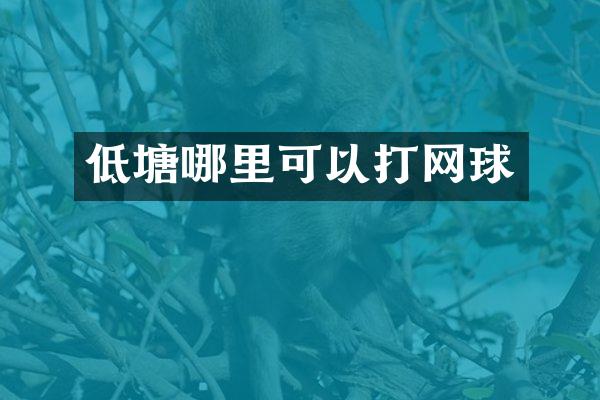 低塘哪里可以打网球