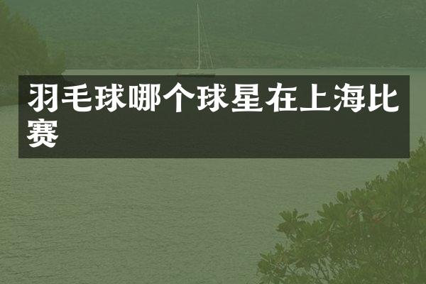羽毛球哪个球星在上海比赛