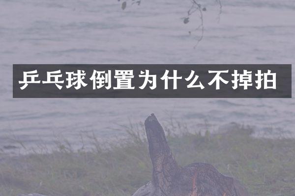 乒乓球倒置为什么不掉拍