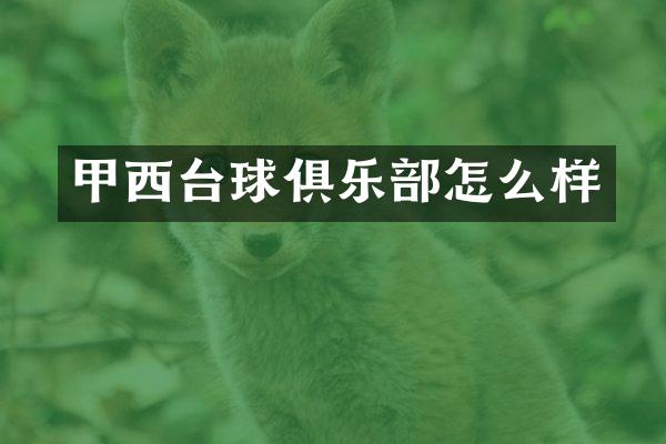 甲西台球俱乐部怎么样