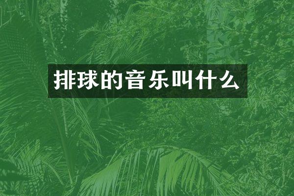 排球的音乐叫什么