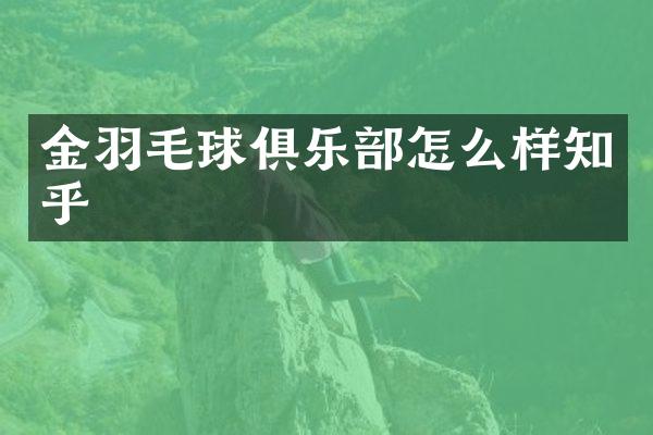 金羽毛球俱乐部怎么样知乎
