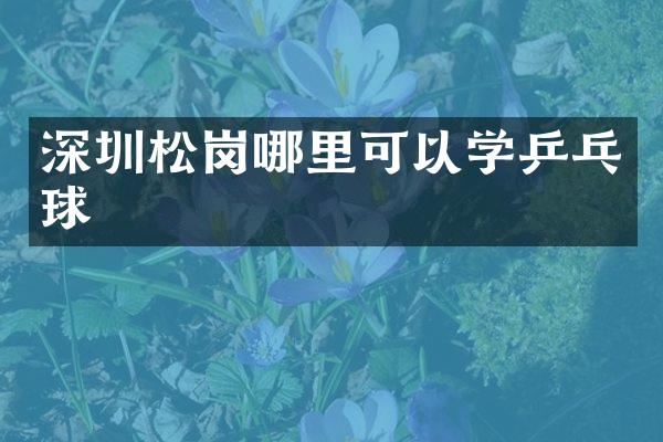 深圳松岗哪里可以学乒乓球