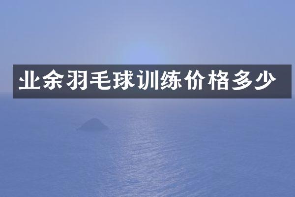 业余羽毛球训练价格多少