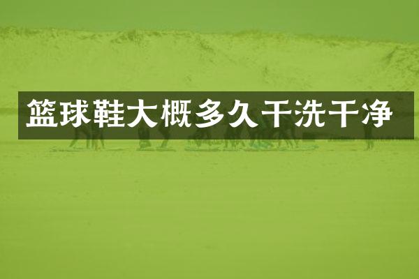 篮球鞋大概多久干洗干净