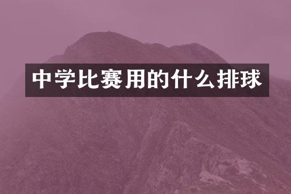 中学比赛用的什么排球