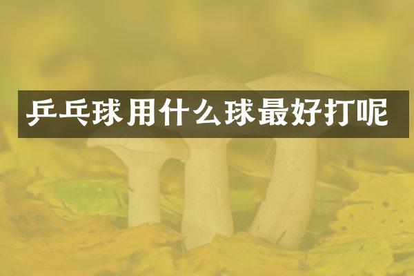 乒乓球用什么球最好打呢