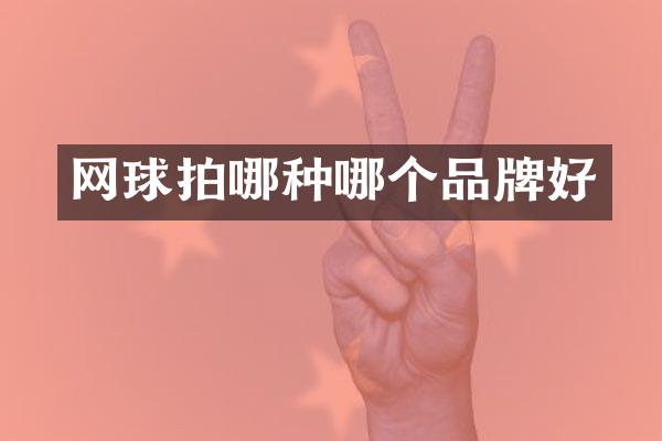 网球拍哪种哪个品牌好
