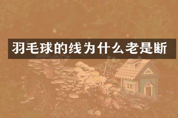 羽毛球的线为什么老是断