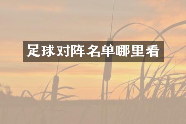 足球对阵名单哪里看