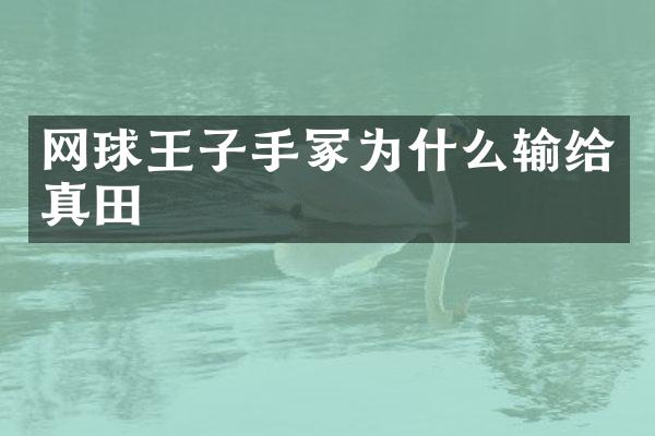 网球王子手冢为什么输给真田