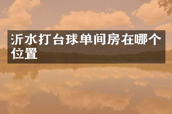 沂水打台球单间房在哪个位置