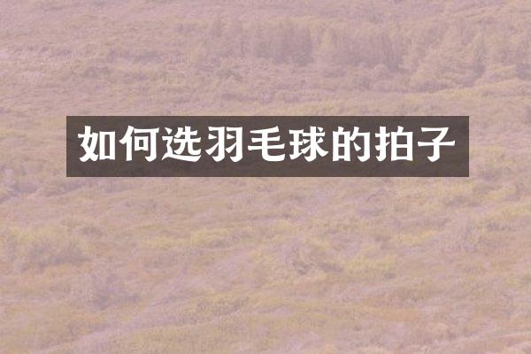 如何选羽毛球的拍子
