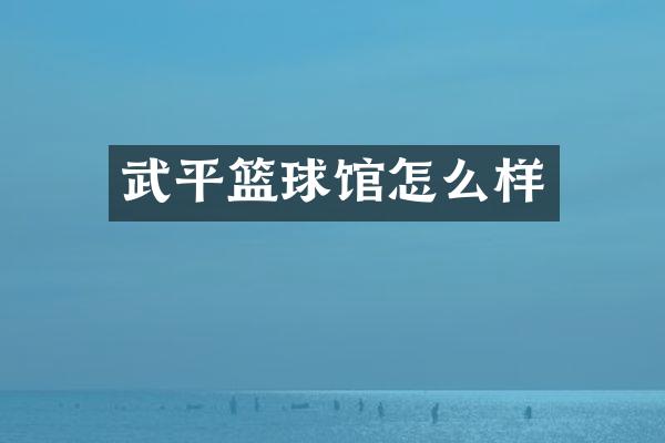 武平篮球馆怎么样