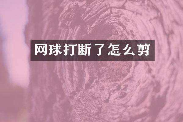 网球打断了怎么剪