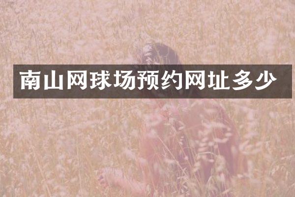 南山网球场预约网址多少