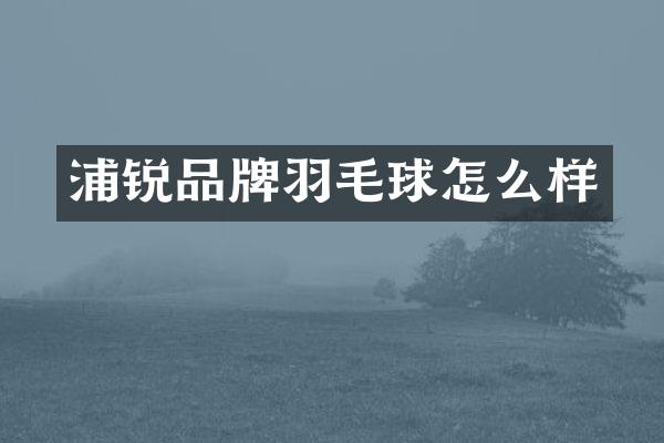 浦锐品牌羽毛球怎么样